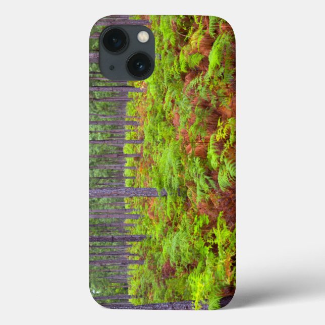 Wachsende Bracken (Pteridium Aquilinum) Case-Mate iPhone Hülle (Rückseite)