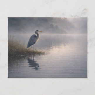 Wachsender Reiher | Großer Blauer Reiher | Postkar Postkarte