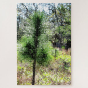 Wachstum 2718 Kiefernbaum