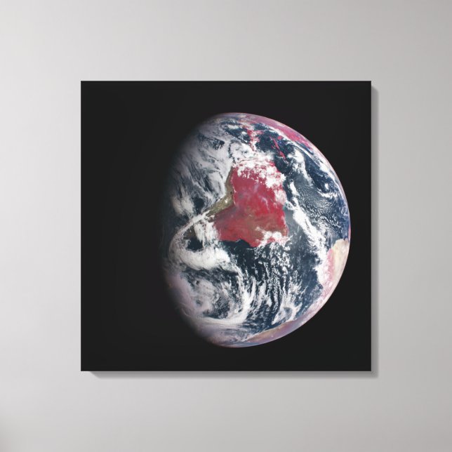 Wachstum der Pflanze auf dem Planeten Erde. Leinwanddruck (Vorderseite)