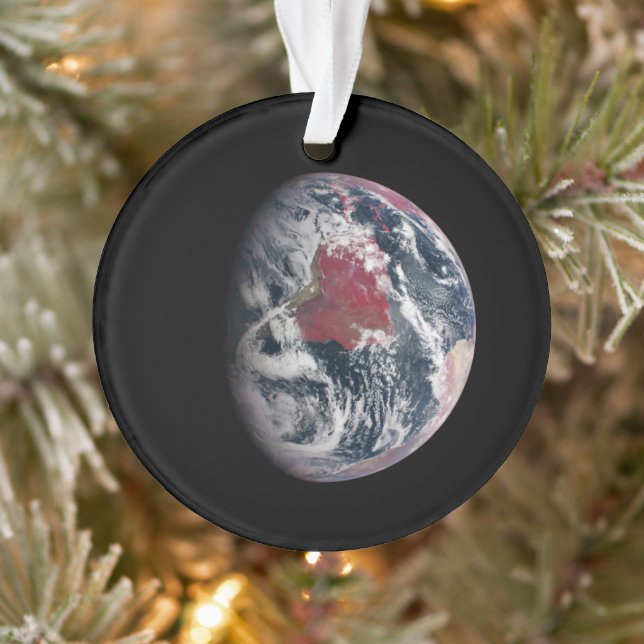 Wachstum der Pflanze auf dem Planeten Erde. Ornament (Baum)