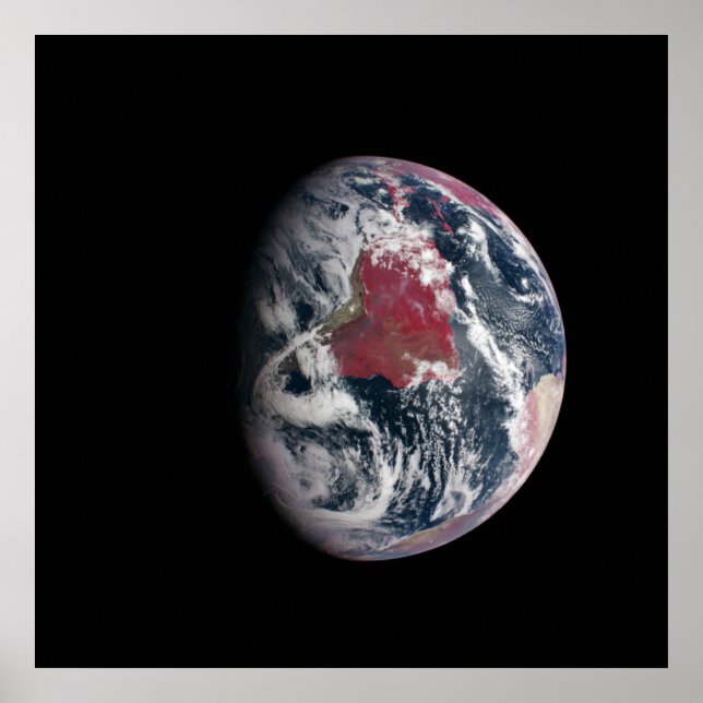 Wachstum der Pflanze auf dem Planeten Erde. Poster (Vorne)