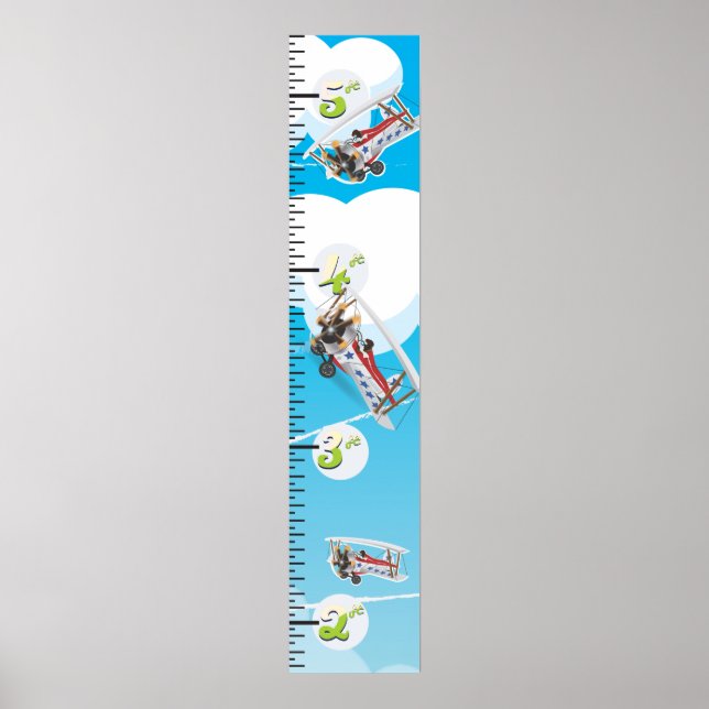 Wachstumstabelle für Flugzeug Poster (Vorne)