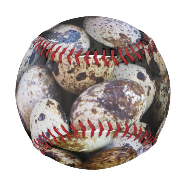 Wachteier Baseball (Vorderseite)