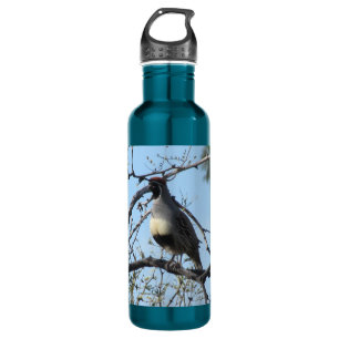 Wachtel-Flasche Edelstahlflasche