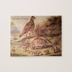 Wachtelfamilien-Puzzle (100 Teile)