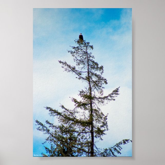 Wachturm Poster (Vorne)