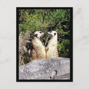 Wachwechsel Postkarte