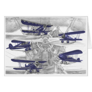 Waco biplane