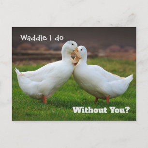 Waddle I Do Funny Ducks Postkarte