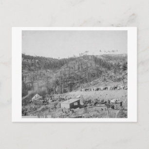 Wade and Jones Railroad Camp in Whitewood Canyon Postkarte