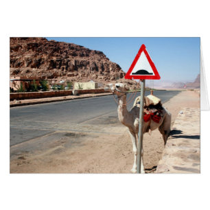 Wadi-Rum-Kamel