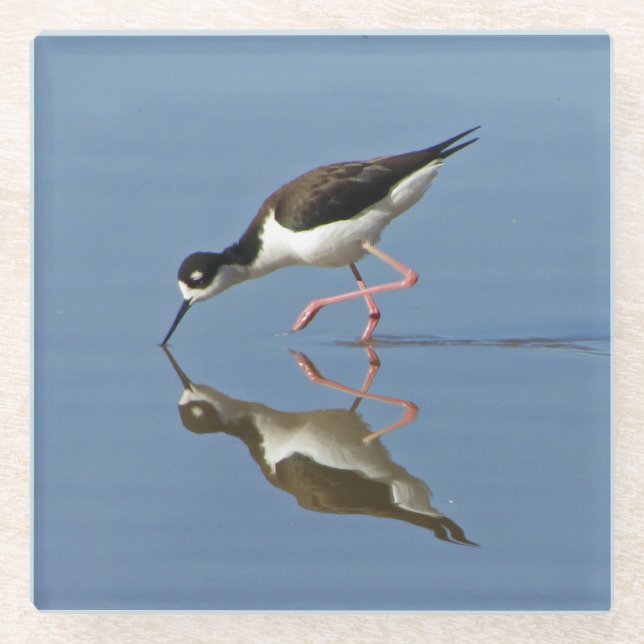 Wading Bird Calm Water Reflection Foto Nature Glasuntersetzer (Vorderseite)