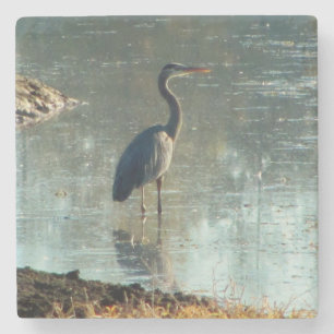 Wading Heron in Wetland Pond Steinuntersetzer