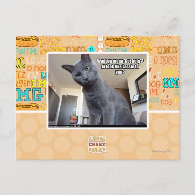 Wadya gemein 'Hilfe holen'? Postkarte (Vorderseite)