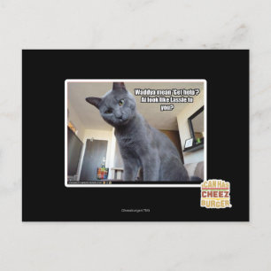 Wadya gemein 'Hilfe holen'? Postkarte