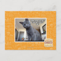 Wadya gemein 'Hilfe holen'?