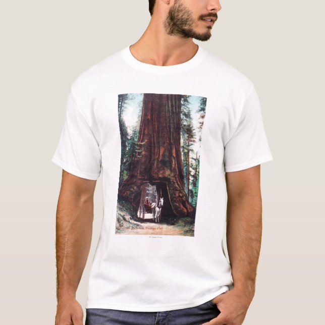 Wagen, der unter ein riesiges Rotholz reist T-Shirt (Vorderseite)