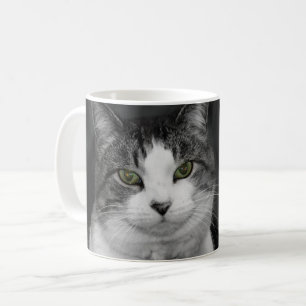 wagen Sie es, in meine grüne Tasse zu schauen