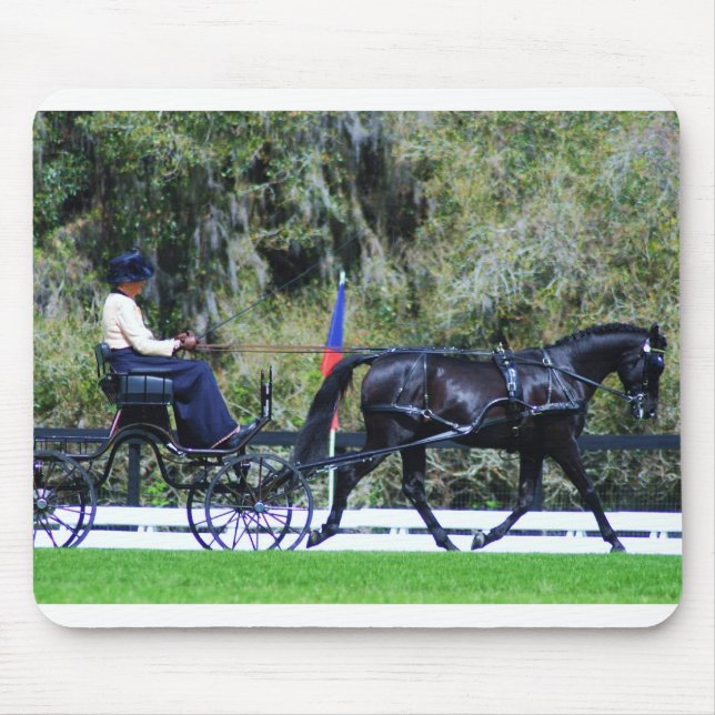 Wagenfahren des Singles schwarzes Pferde Mousepad (Vorne)