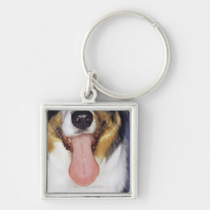 Wagging Zunge des Collien Schlüsselanhänger