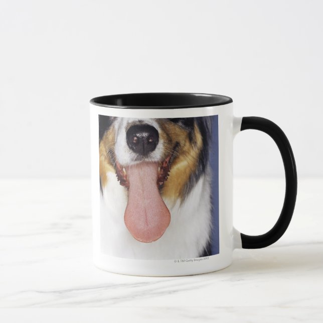 Wagging Zunge des Collien Tasse (Rechts)