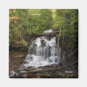 Wagner-Wasserspeicher-Magnet Magnet