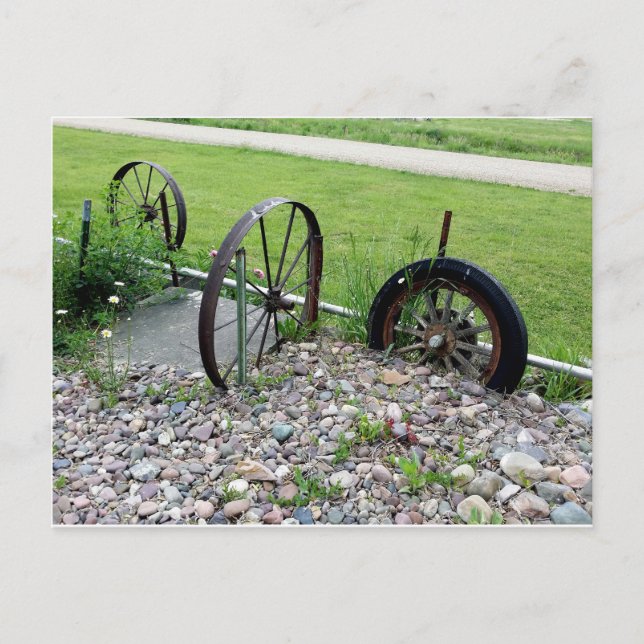 Wagon Wheels Rock Garden Montana Naturfoto Postkarte (Vorderseite)