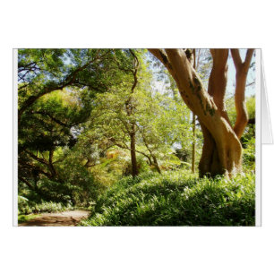 Wahiawa botanischer Garten