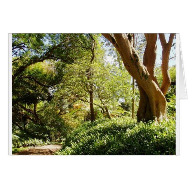 Wahiawa Botanischer Garten (Vorderseite (Horizontal))