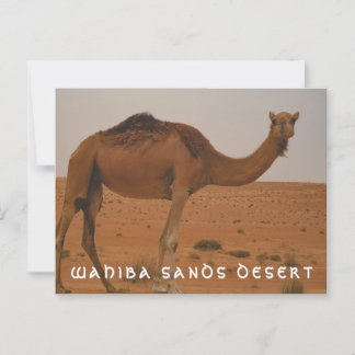 Wahiba sands wüste Postkarte