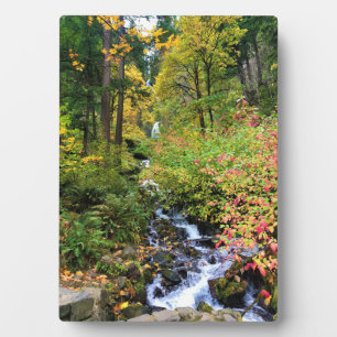 Wahkeena Falls, Columbia River Gorge, Oregon Fotoplatte