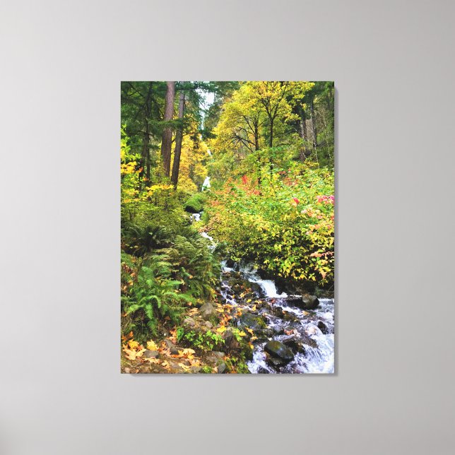 Wahkeena Falls, Columbia River Gorge, Oregon Leinwanddruck (Vorderseite)