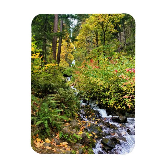 Wahkeena Falls, Columbia River Gorge, Oregon Magnet (Vertikal)