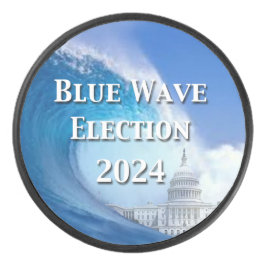 Wahl 2024 eishockey puck