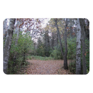 Wählen Sie Ihren Pfad. Magnet