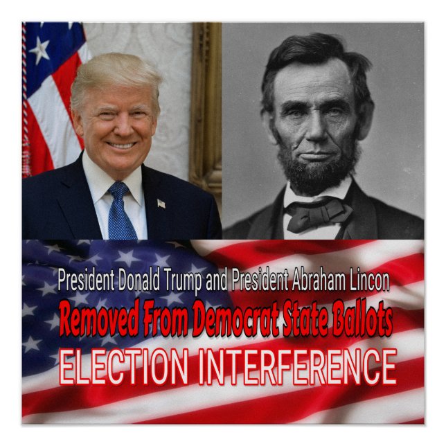 Wahlinterferenz Poster (Vorderseite)