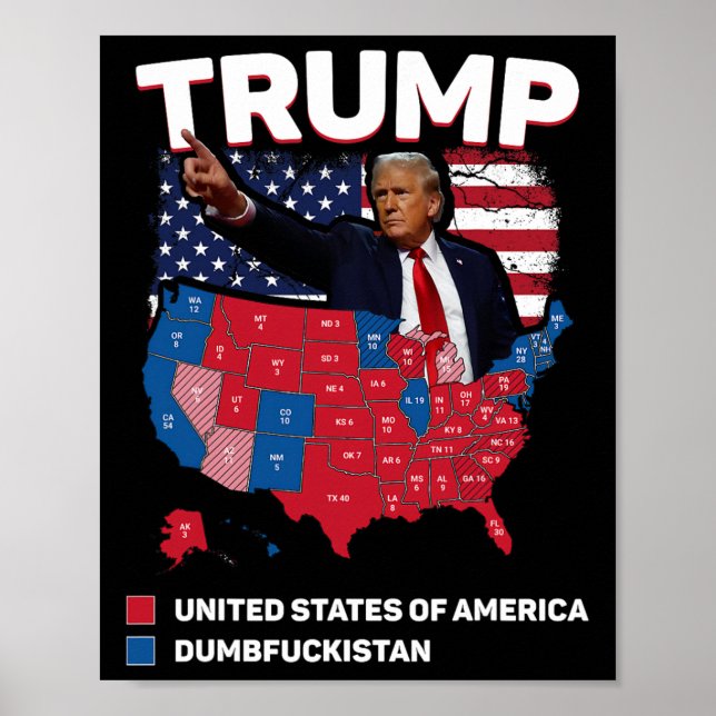Wahlplan 2024 USA Dumbist Poster (Vorne)