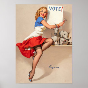 Wahlstift aufstecken poster