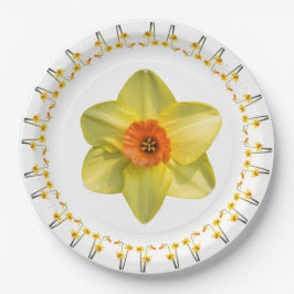 Wahnsinn. Pappteller