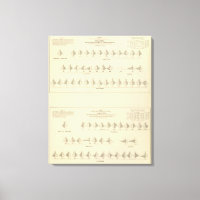 Wahnsinn, statistischer Lithograph in den USA