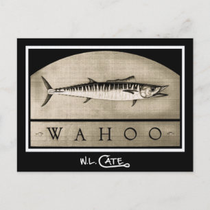 Wahoo Vintage Schwarz-Weiß-Postkarten Postkarte