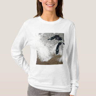 Wahr-Farbebild des Schnees T-Shirt