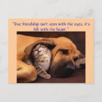 "Wahre Freundschaft ...