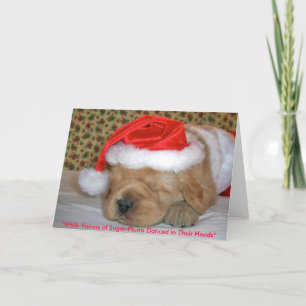 "Während Visionen der Zucker-Pflaumen getanzt in Feiertagskarte