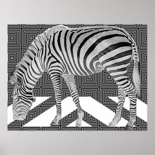 Wahrer Zebra-Plakat-Druck Poster
