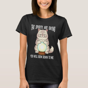 Wahrsager Hauskatze mit Kristallkugel Bow Dow T-Shirt