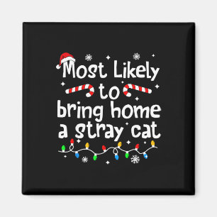 Wahrscheinlich bringt Weihnachten eine streunende Magnet