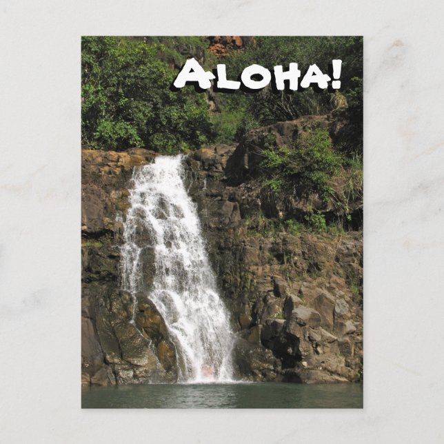Waimea Audubon Wasserfall von Hawaii Postkarte (Vorderseite)
