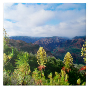 Waimea Canyon Kauai, Hawaii Fliese